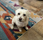 Bertie