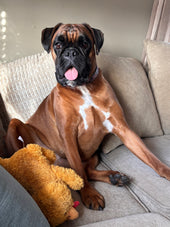 Bailey