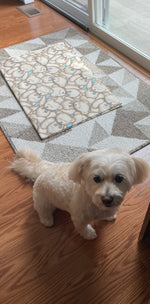 Sammie