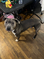 Kona 