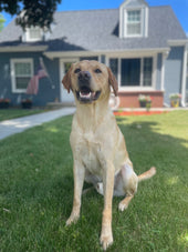 Tucker