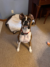 Kona