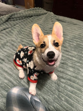Finnley