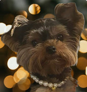 Winnie