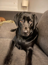 Addie