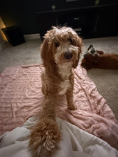 Tallulah 