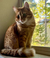 Maggie