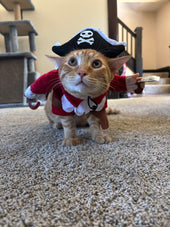 Felix