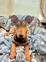 Remington