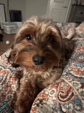 Rosie Sue