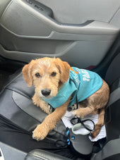 Jax