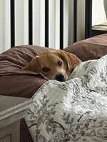 Sunday