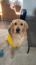 Murphy