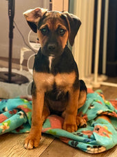Xena