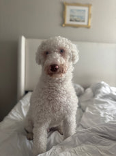 Charlie