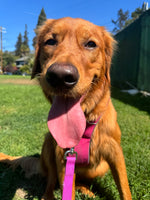 Sophie 