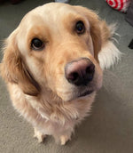 Kaiya