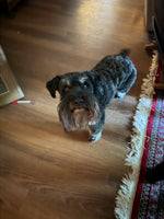 Zeke