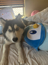 Sona