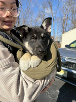 Freya