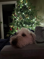 Hudson