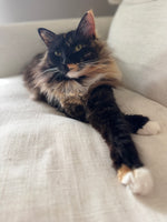 Freya