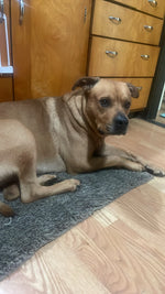 Cooper