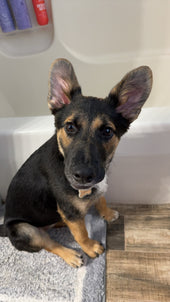 Addie