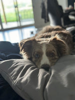 Rosco