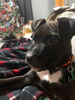 Odin