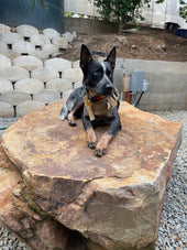 Copper 