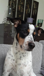 Lucy
