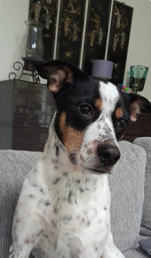 Lucy
