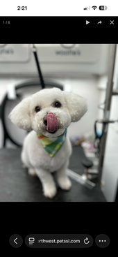 Cooper