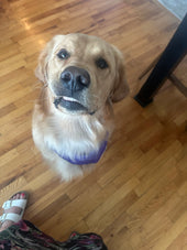 Walter