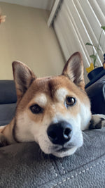 Kona
