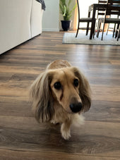 Jude