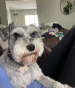 Lucy Mae