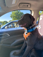 Maverick 