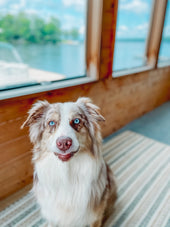Baxter