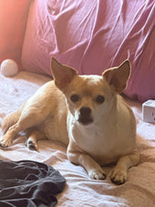 Axel