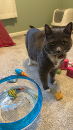 Winnie