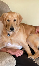 Tucker