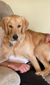 Tucker