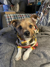 Pip