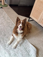 Mia
