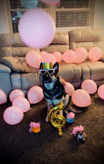 Roxy