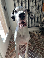 Dudley