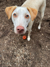 Miss Opal
