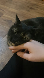 Onyx